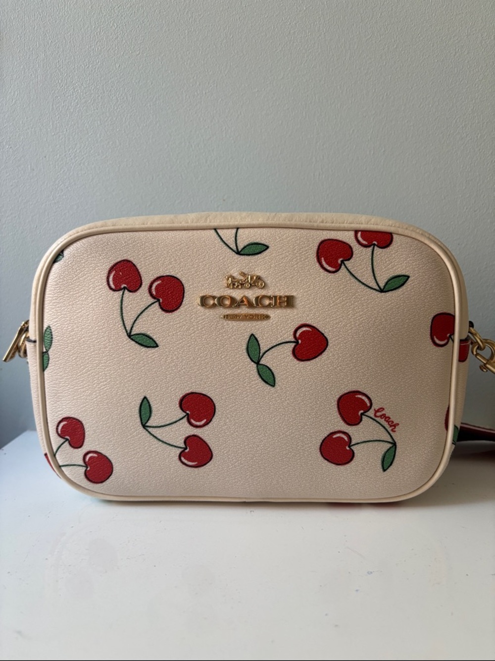 Coach CF420 Jamie Camera Bag - Heart Cherry Print Canvas Leather Originally $350